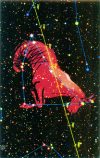 Capricorn