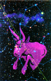 Taurus