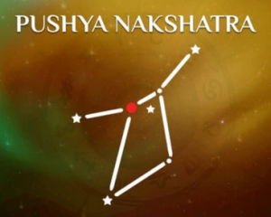 Moon Sign & Nakshatra Calculator