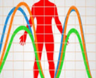 Biorhythm
